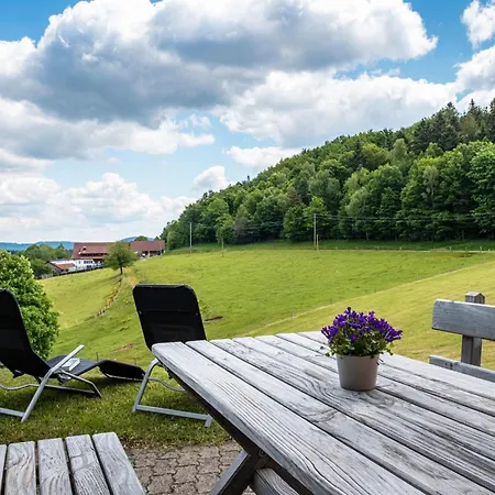 Hasenhof Lägenhet Wolfach